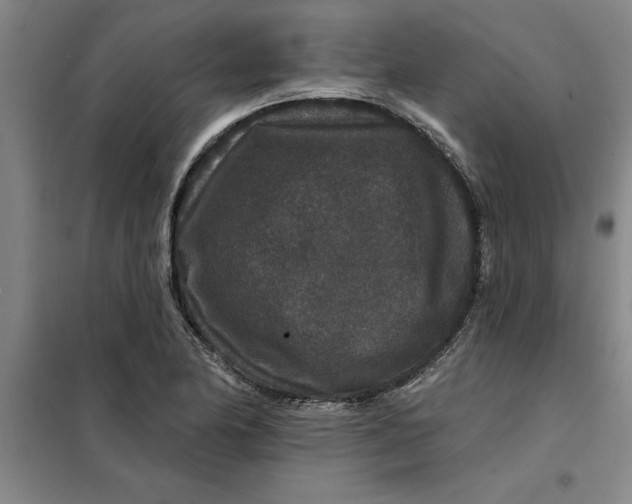 X0000098151174200805011401