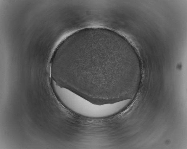 X0000098151175200805011401