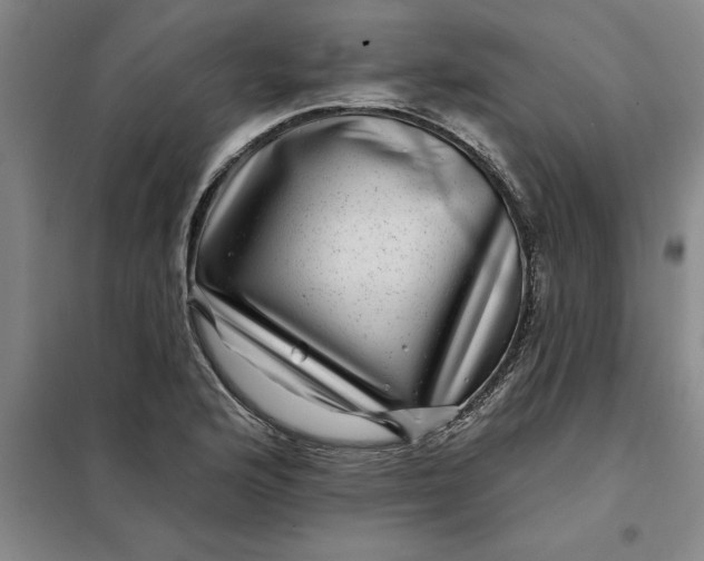 X0000098151176200805011401