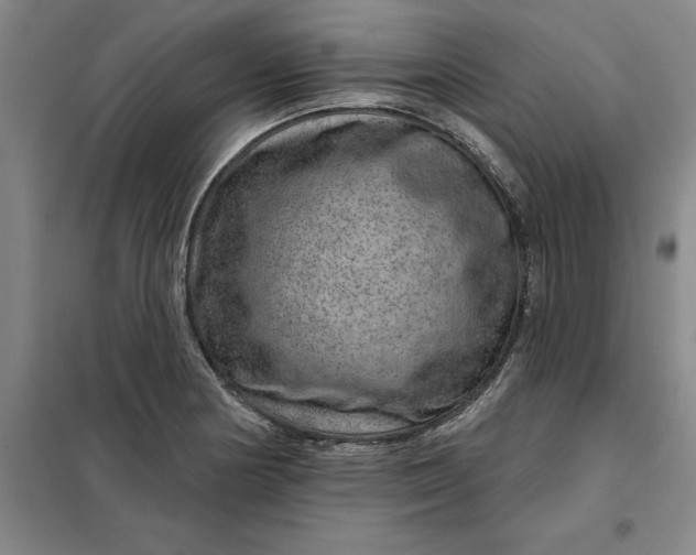X0000098151178200805011400