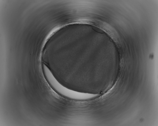 X0000098151180200805011400