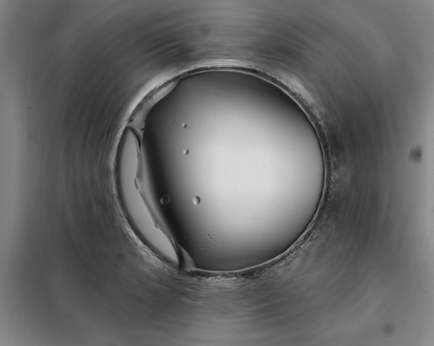X0000098151181200805011400