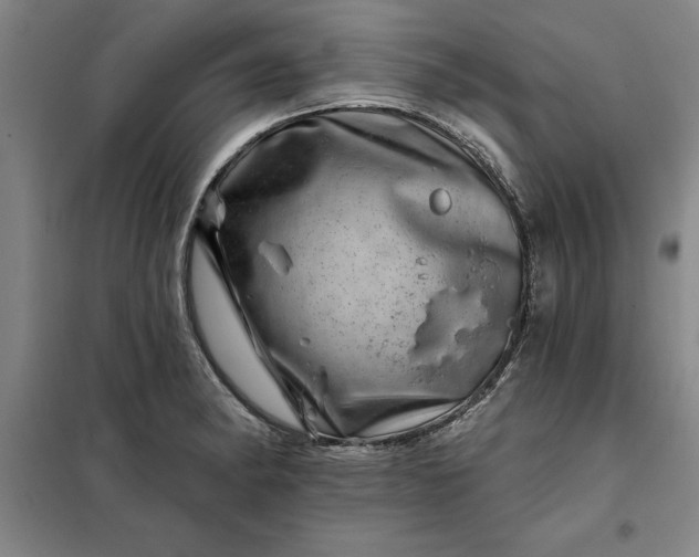 X0000098151182200805011400