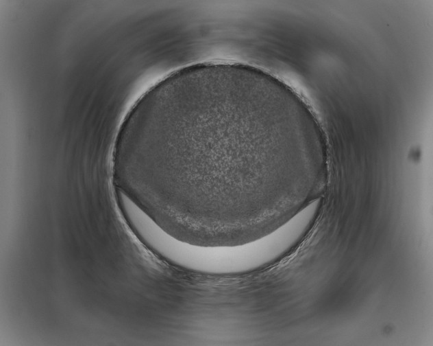 X0000098151183200805011400