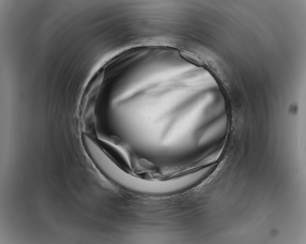 X0000098151184200805011400