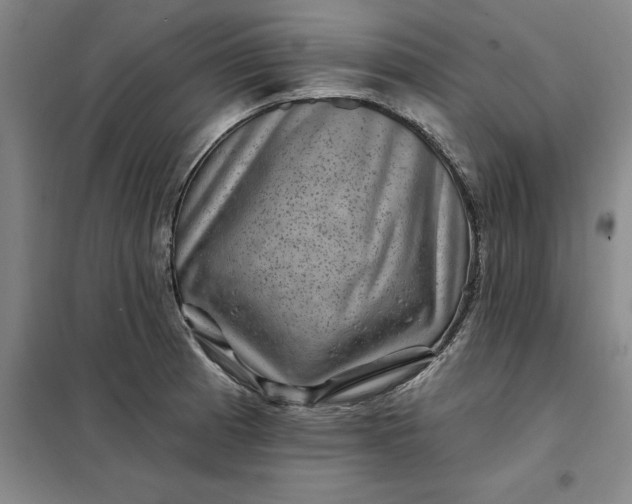 X0000098151185200805011400