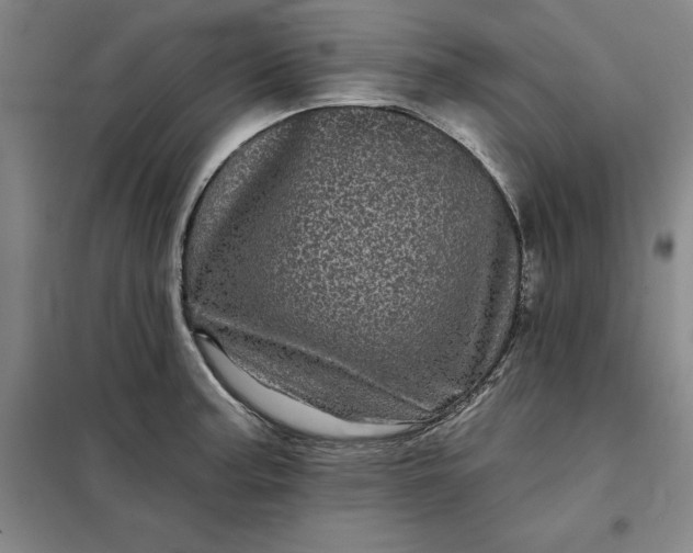 X0000098151187200805011400
