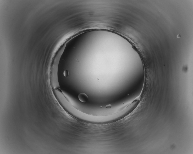 X0000098151188200805011400