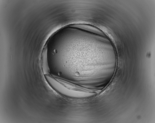 X0000098151189200805011400