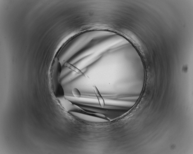 X0000098151190200805011400