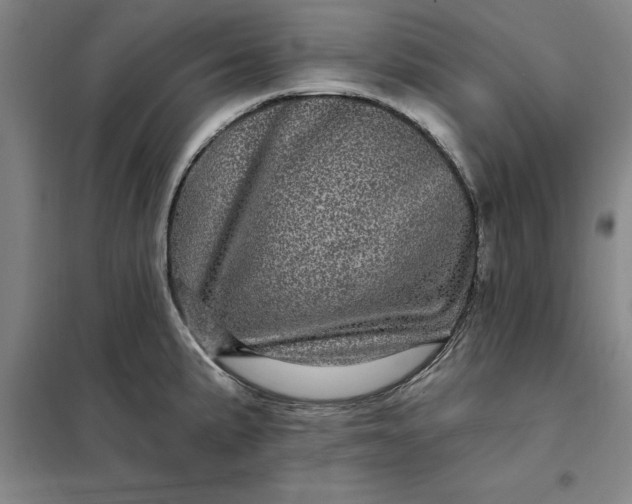 X0000098151191200805011400