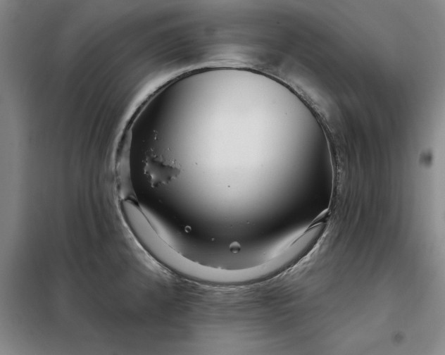 X0000098151192200805011400