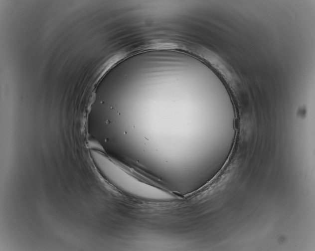 X0000098151193200805011400