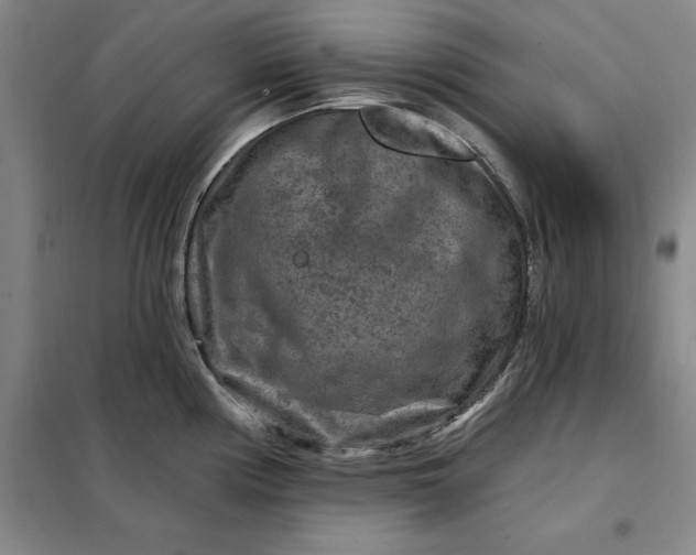 X0000098151194200805011400