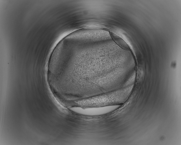 X0000098151195200805011400