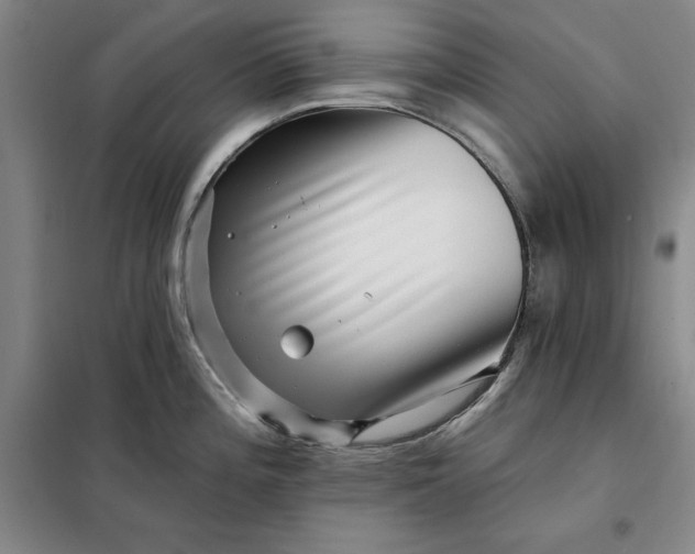 X0000098151196200805011400