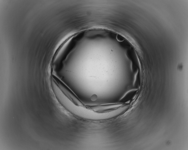 X0000098151198200805011400