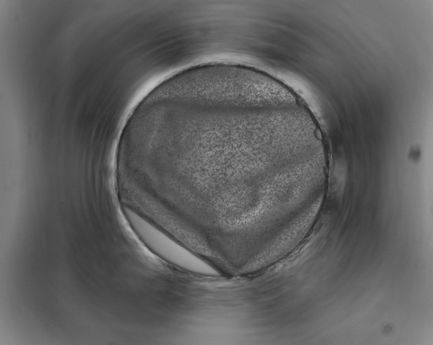 X0000098151199200805011400