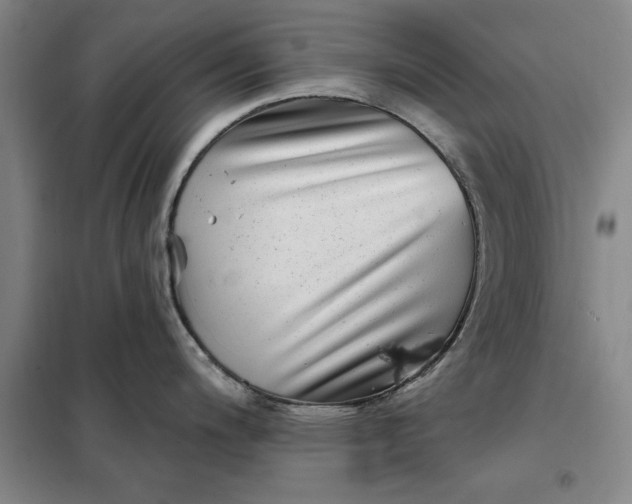 X0000098151200200805011400
