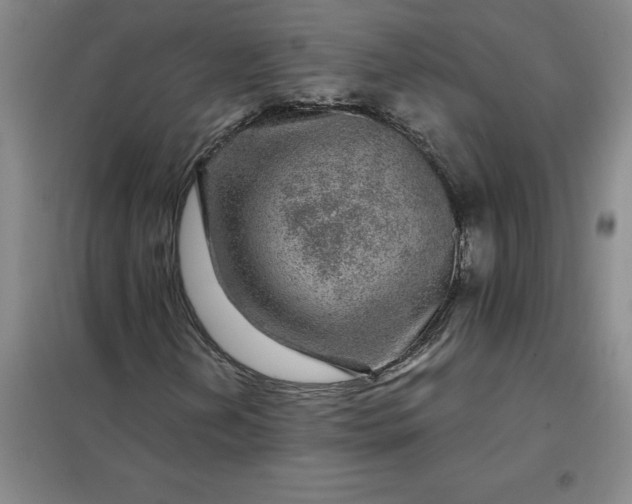 X0000098151202200805011359