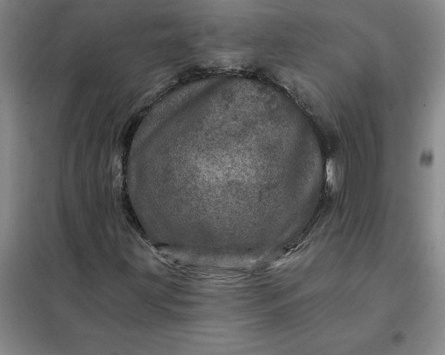 X0000098151203200805011359