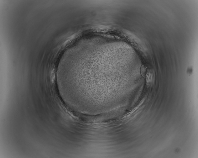 X0000098151204200805011359
