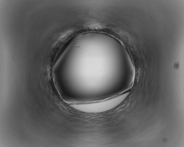 X0000098151205200805011400