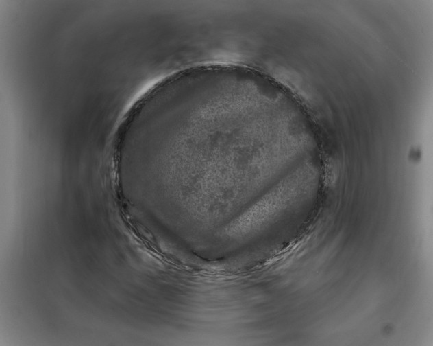 X0000098151208200805011400