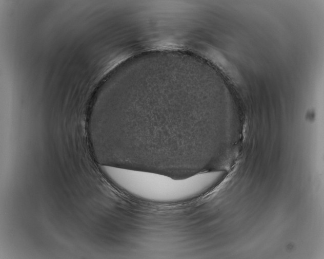 X0000098151209200805011400