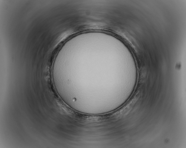 X0000098151211200805011400