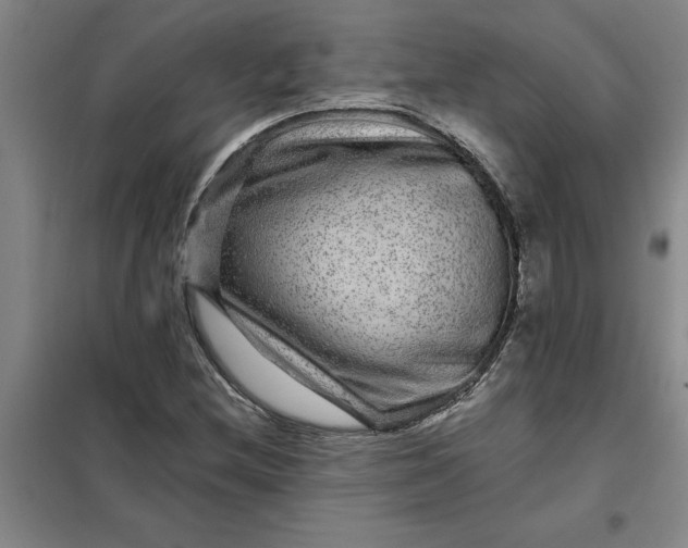 X0000098151212200805011400