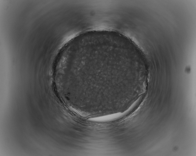 X0000098151213200805011400