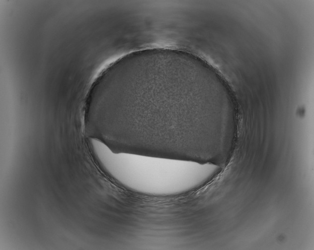 X0000098151214200805011400