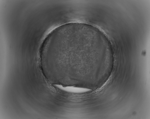 X0000098151215200805011400