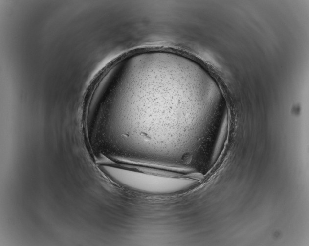 X0000098151216200805011400