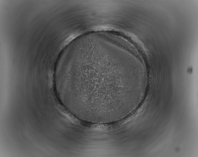 X0000098151217200805011400