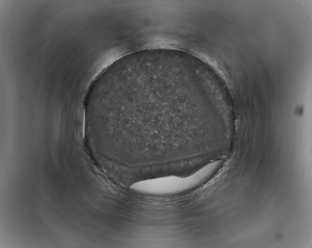 X0000098151219200805011400