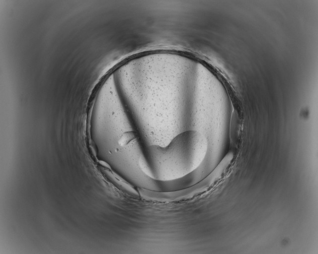 X0000098151220200805011400