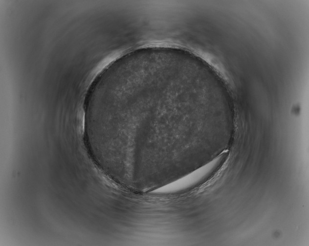 X0000098151221200805011400