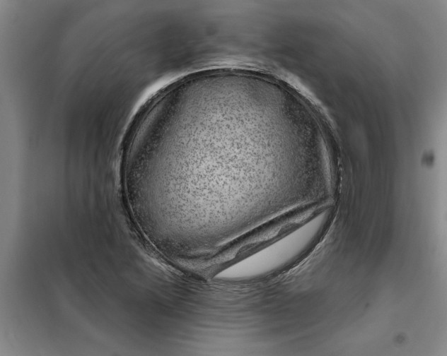 X0000098151222200805011400