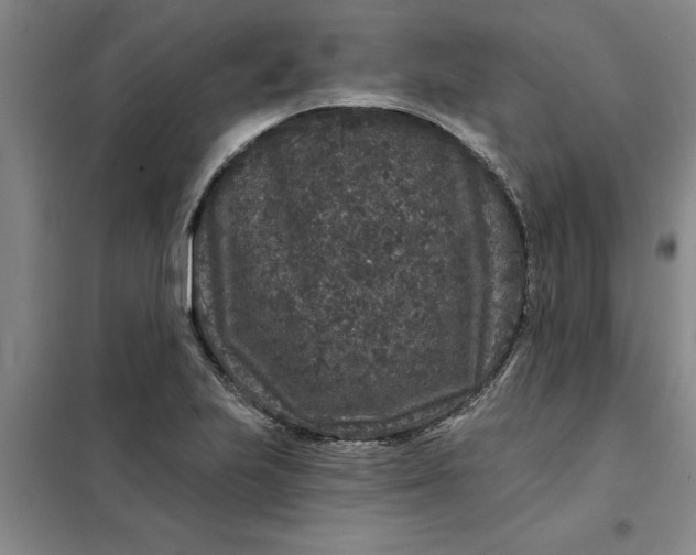 X0000098151223200805011400