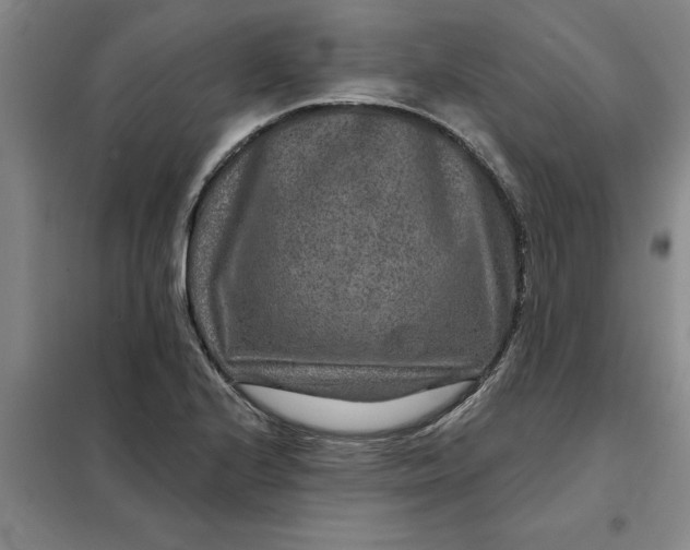X0000098151224200805011400