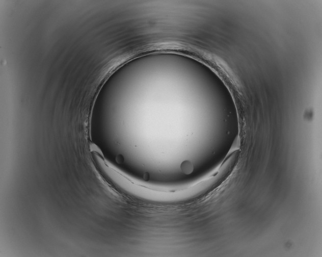 X0000098151225200805011400