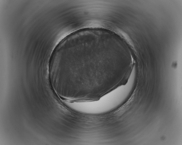 X0000098151226200805011400