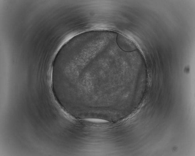 X0000098151227200805011400