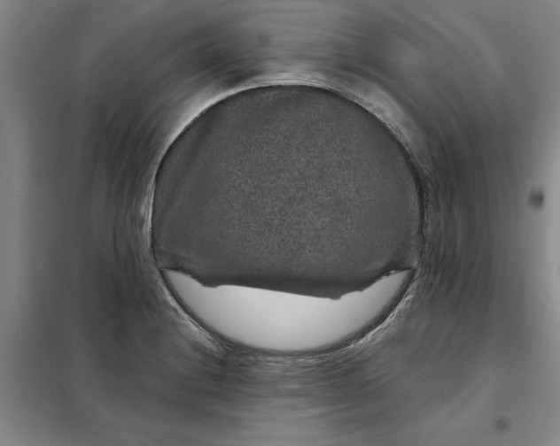 X0000098151228200805011400