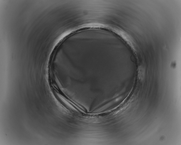 X0000098151229200805011400