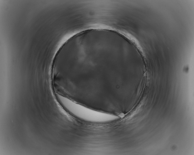 X0000098151231200805011400