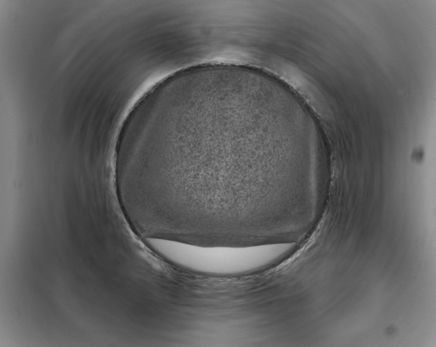 X0000098151232200805011400