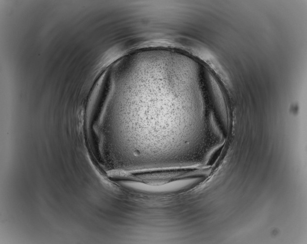 X0000098151233200805011400